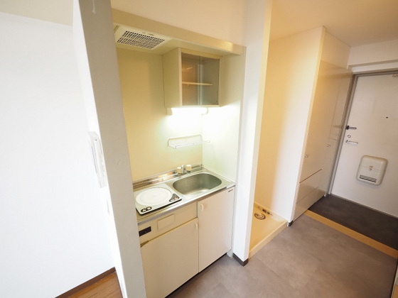 プレディアスタイル観音