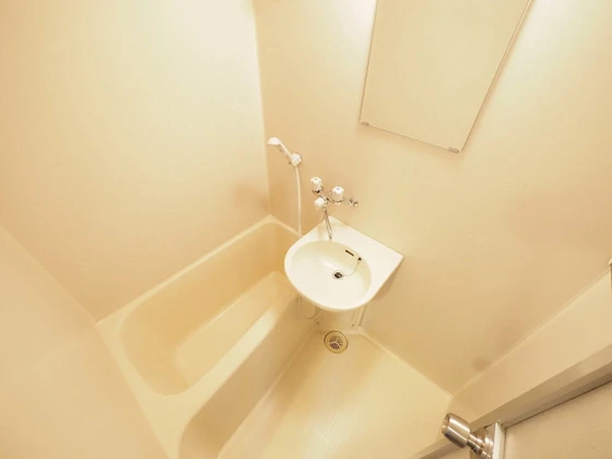 プレディアスタイル観音