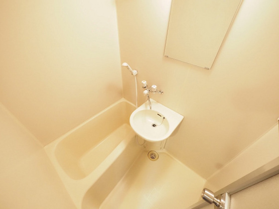 プレディアスタイル観音