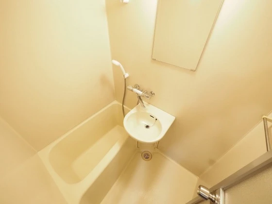 プレディアスタイル観音