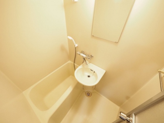 プレディアスタイル観音