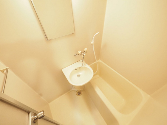 プレディアスタイル観音