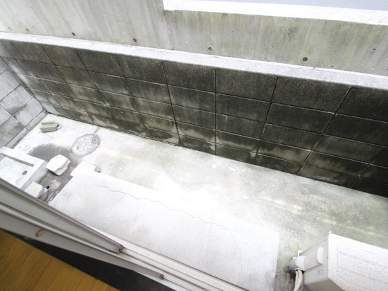 グリーンコート