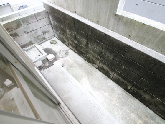 グリーンコート