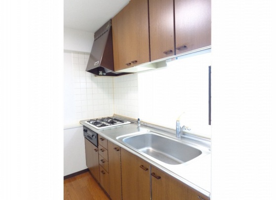 藤和緑井ハイタウン