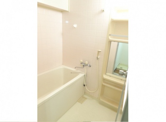 藤和緑井ハイタウン