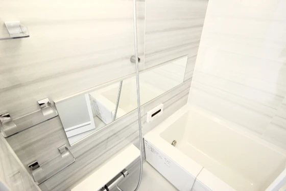 アガトンツインズα