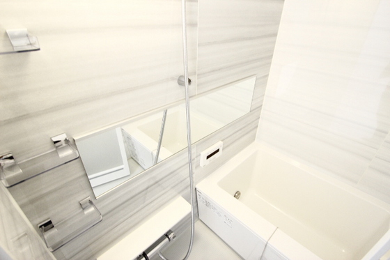 アガトンツインズα