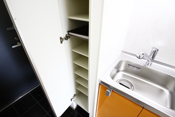 アガトンツインズα