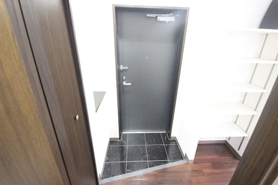 アガトンツインズα