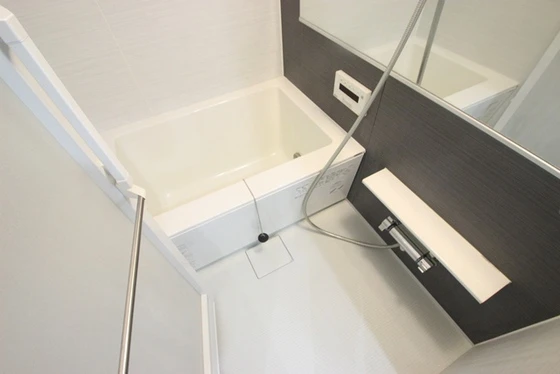 アガトンツインズα