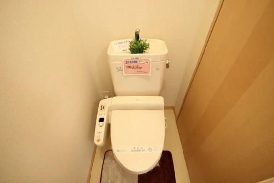 ディア ハイン B