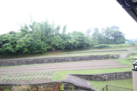 サンリッチオカミヘラ