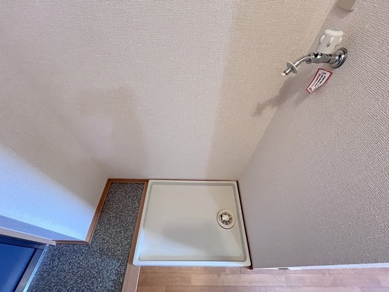 セジュールアンバタ