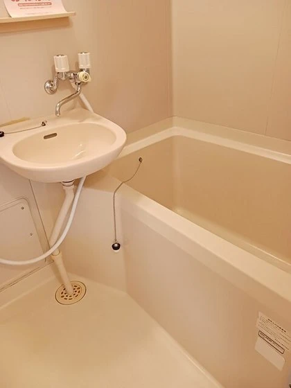 エルディム猫田