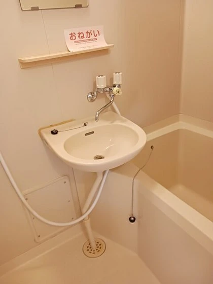 エルディム猫田