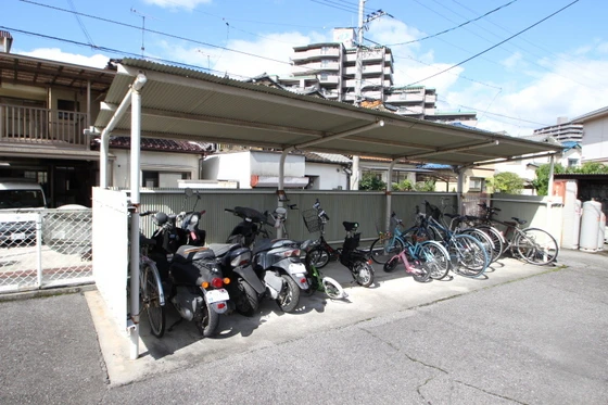 エルディム猫田