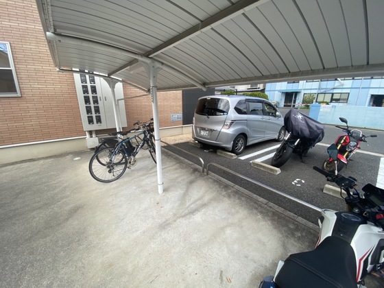 メープルコート