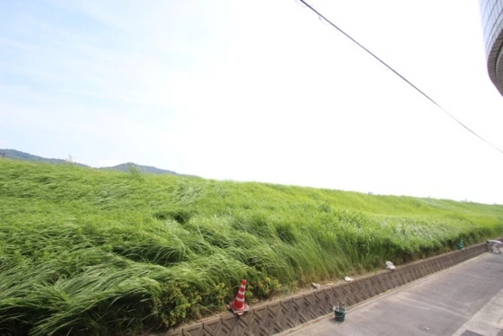 ホワイトヴィラ