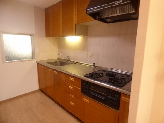 サーパス舟入南