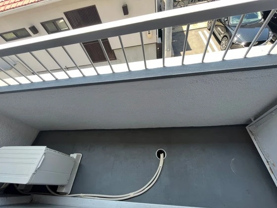 パームコーブ舟入