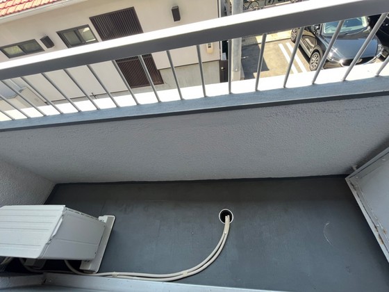 パームコーブ舟入