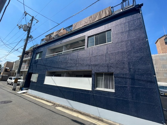 パームコーブ舟入