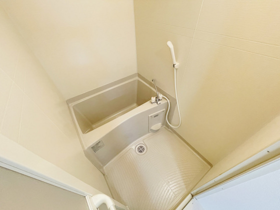 パームコーブ舟入