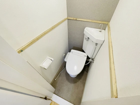 パームコーブ舟入