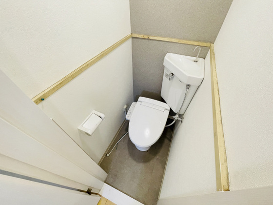 パームコーブ舟入