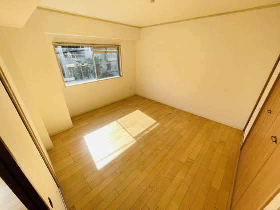 パームコーブ舟入