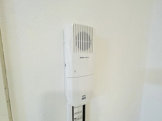 パームコーブ舟入