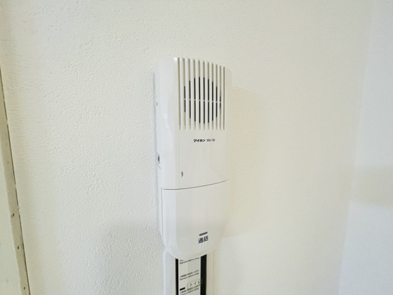 パームコーブ舟入