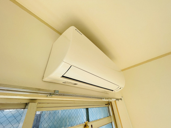 パームコーブ舟入