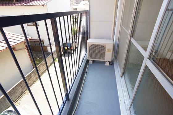 パームコーブ舟入