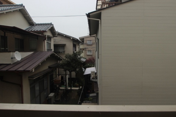 パームコーブ舟入