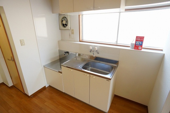 パームコーブ舟入