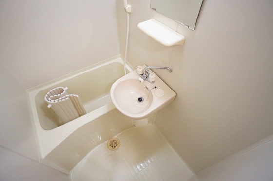 パームコーブ舟入