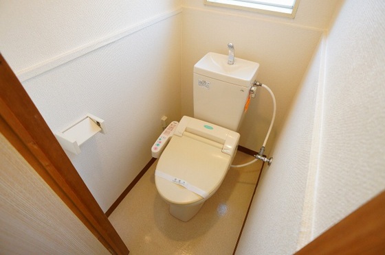 パームコーブ舟入