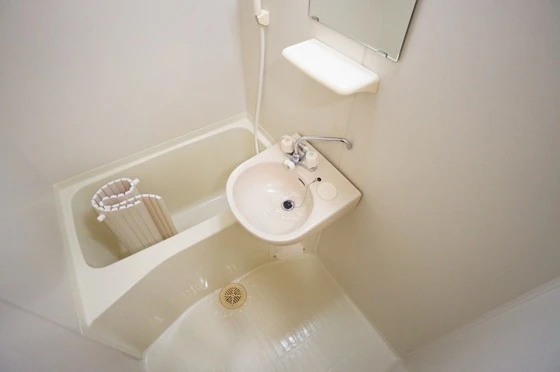 パームコーブ舟入