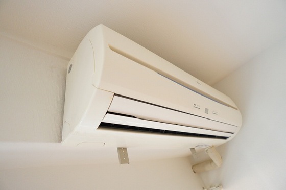 パームコーブ舟入