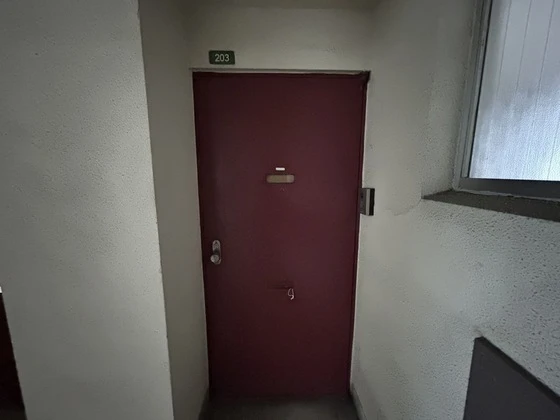 鷹の羽マンション