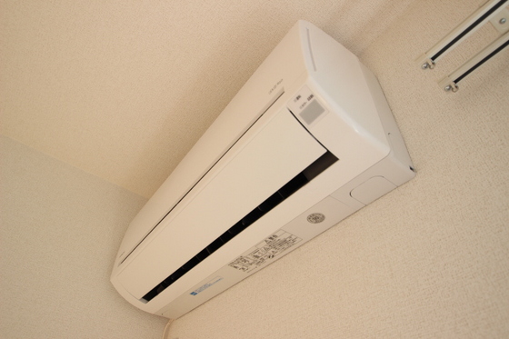 ルポ・デ・アンジェリークC