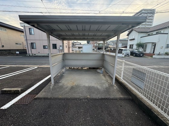 セレッソ サカエ