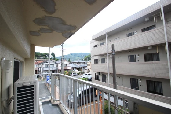 ルービンスくるめ木