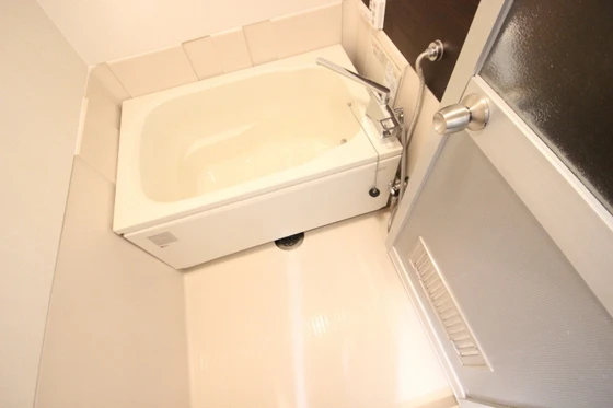 ルービンスくるめ木