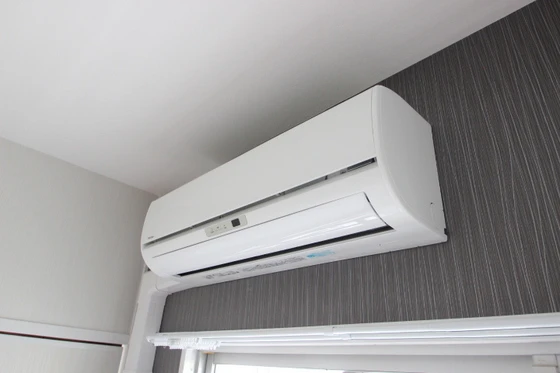 ルービンスくるめ木