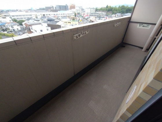 グリーンルージュM