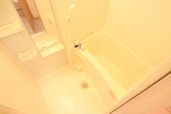 ラージウエスト