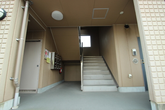 ラージウエスト